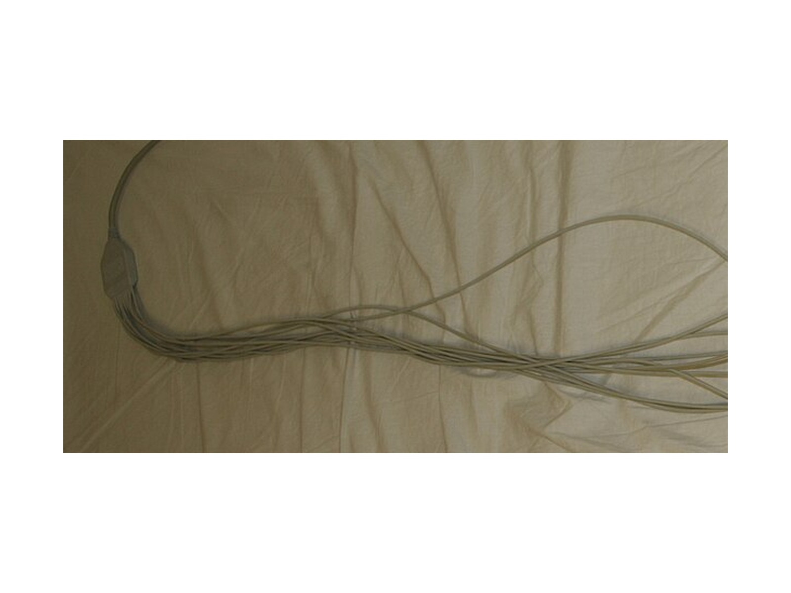 HP Trunk Cable