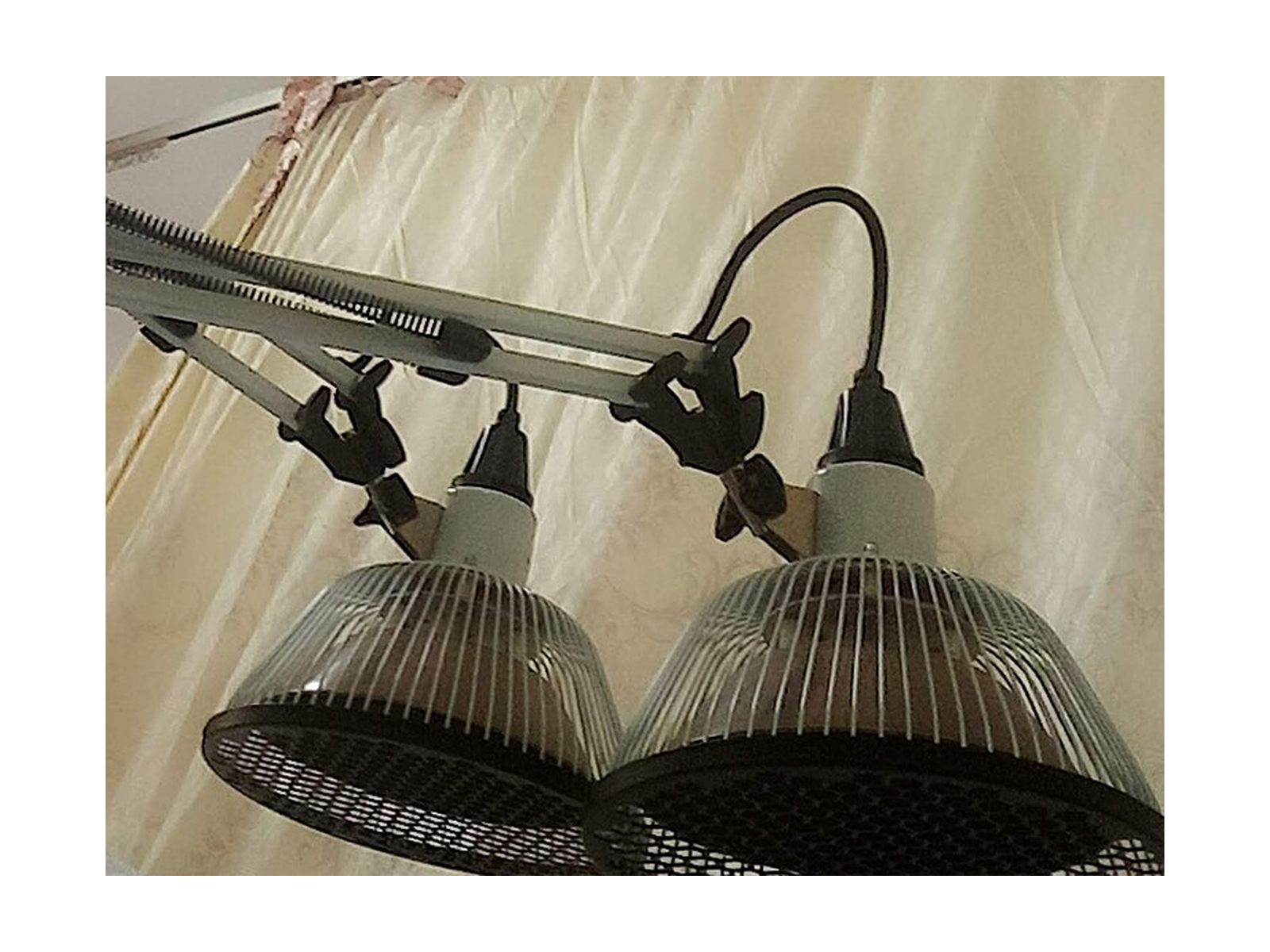 IR Lamp